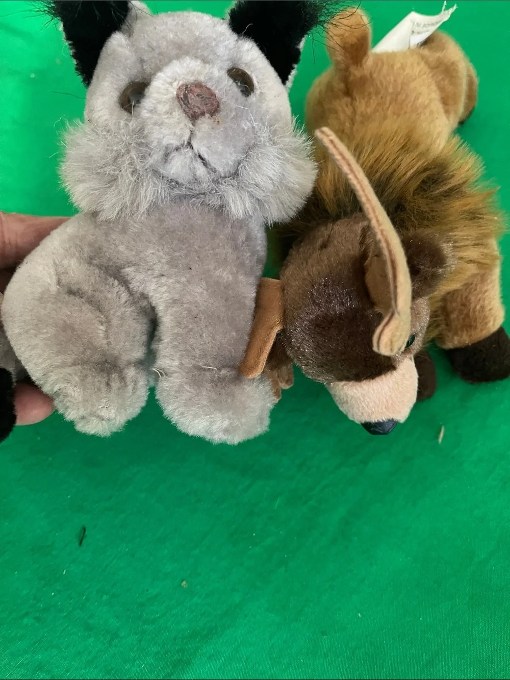 Plush Small Pet Toy Duo - Gray and Brown Soft Companions